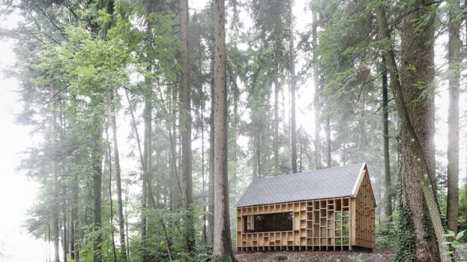 Лесной домик в Австрии