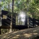 Дом на дереве в США от Jacobschang Architecture.