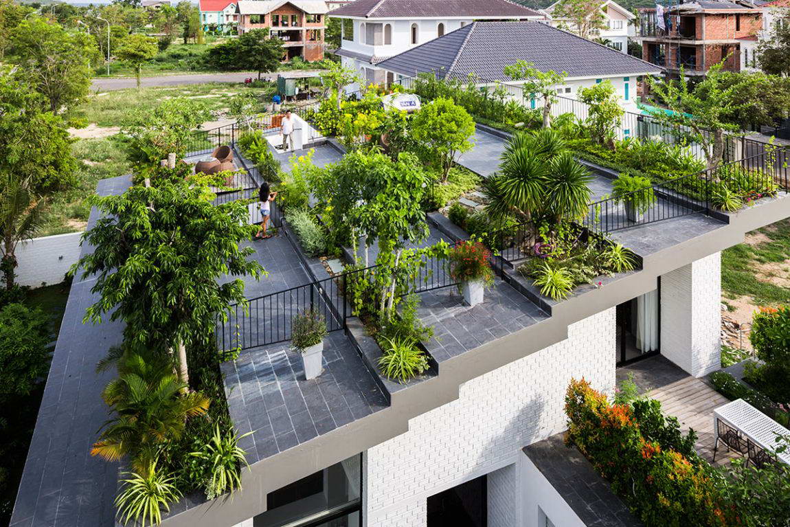 Как выглядят лучшие сады на крыше (фото)